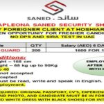 jobs in Sharjah